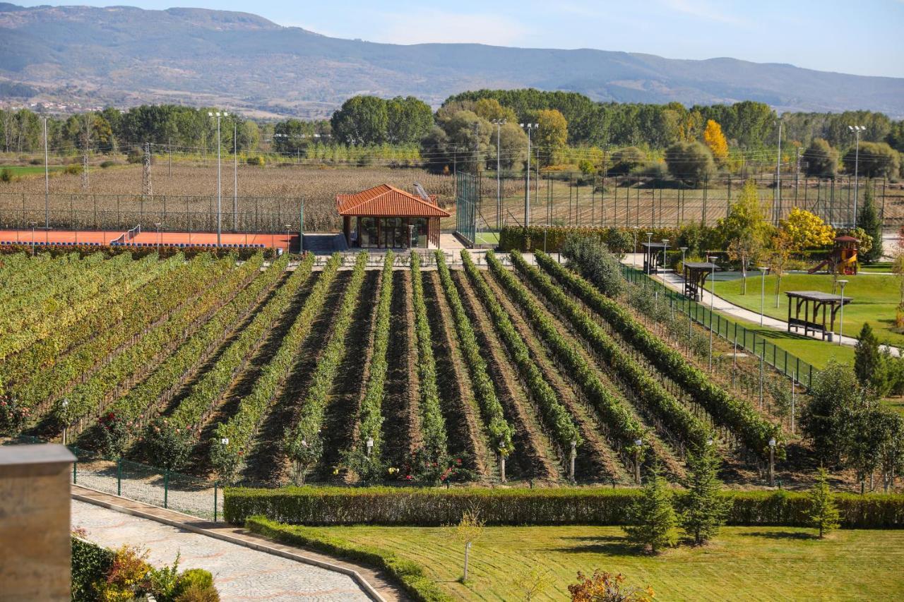 Uva Nestum Wine & Spa Goce Dełczew Zewnętrze zdjęcie