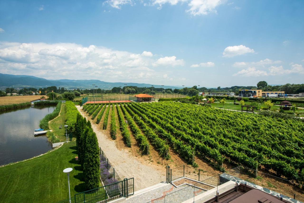 Uva Nestum Wine & Spa Goce Dełczew Zewnętrze zdjęcie