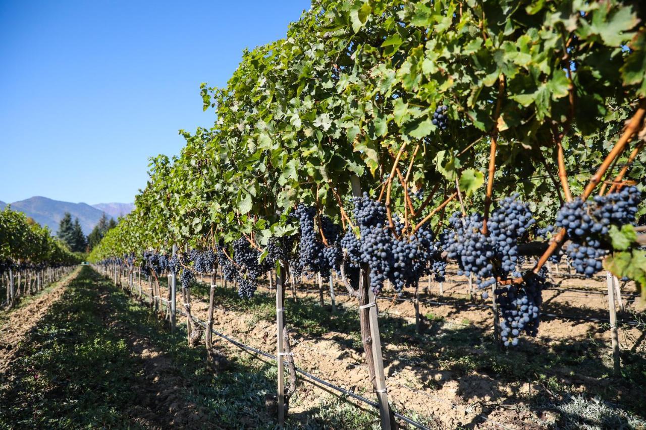 Uva Nestum Wine & Spa Goce Dełczew Zewnętrze zdjęcie